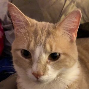 Meet your Posher, Cecilia